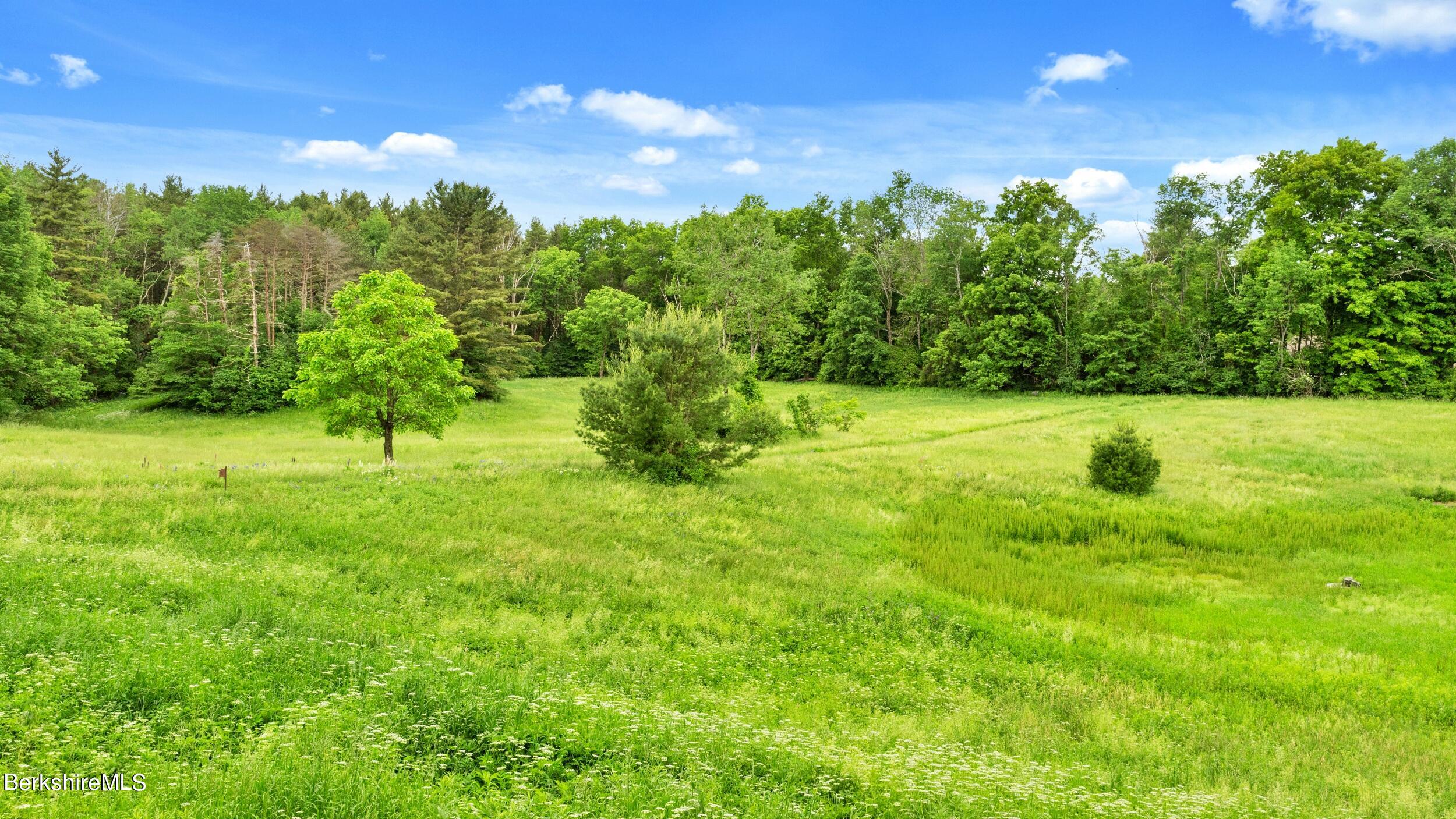 2507 State Road Richmond, MA 01254 - Photo 32 of 36 EXTERIOR - YARD