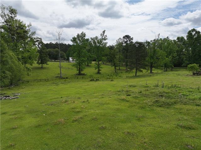 60277 Leander Lane Amite, LA 70422 - Photo 11 of 50