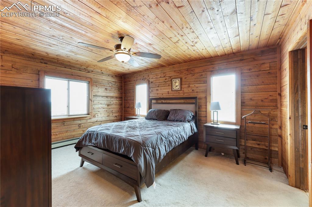 1721 Wildhorn Road Florissant, CO 80816 - Photo 33 of 48