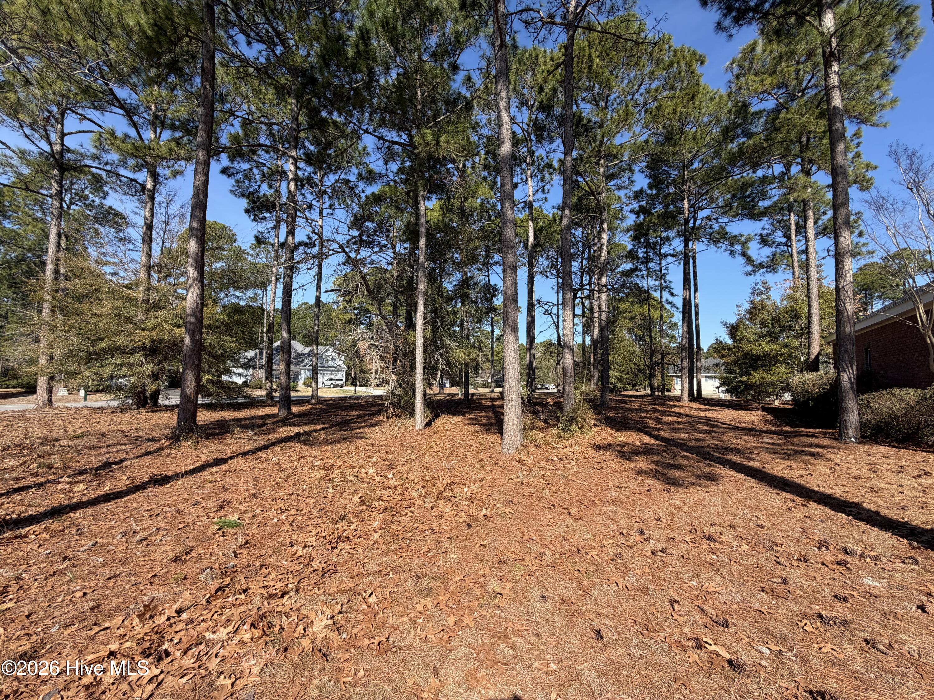 503 Planter's Ridge Drive Sunset Beach, NC 28468 - Photo 26 of 41 IMG_2713