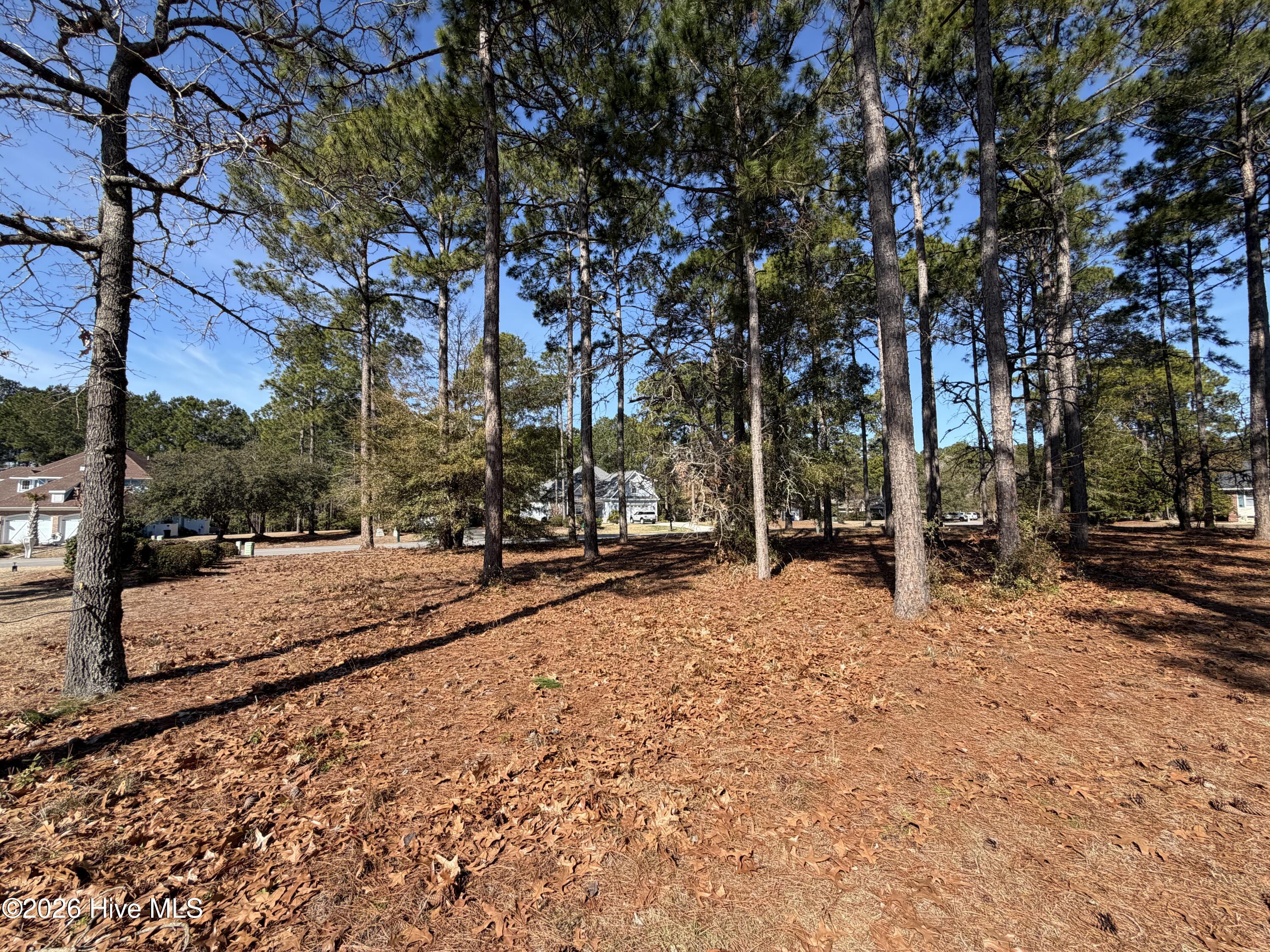 503 Planter's Ridge Drive Sunset Beach, NC 28468 - Photo 27 of 41 IMG_2716