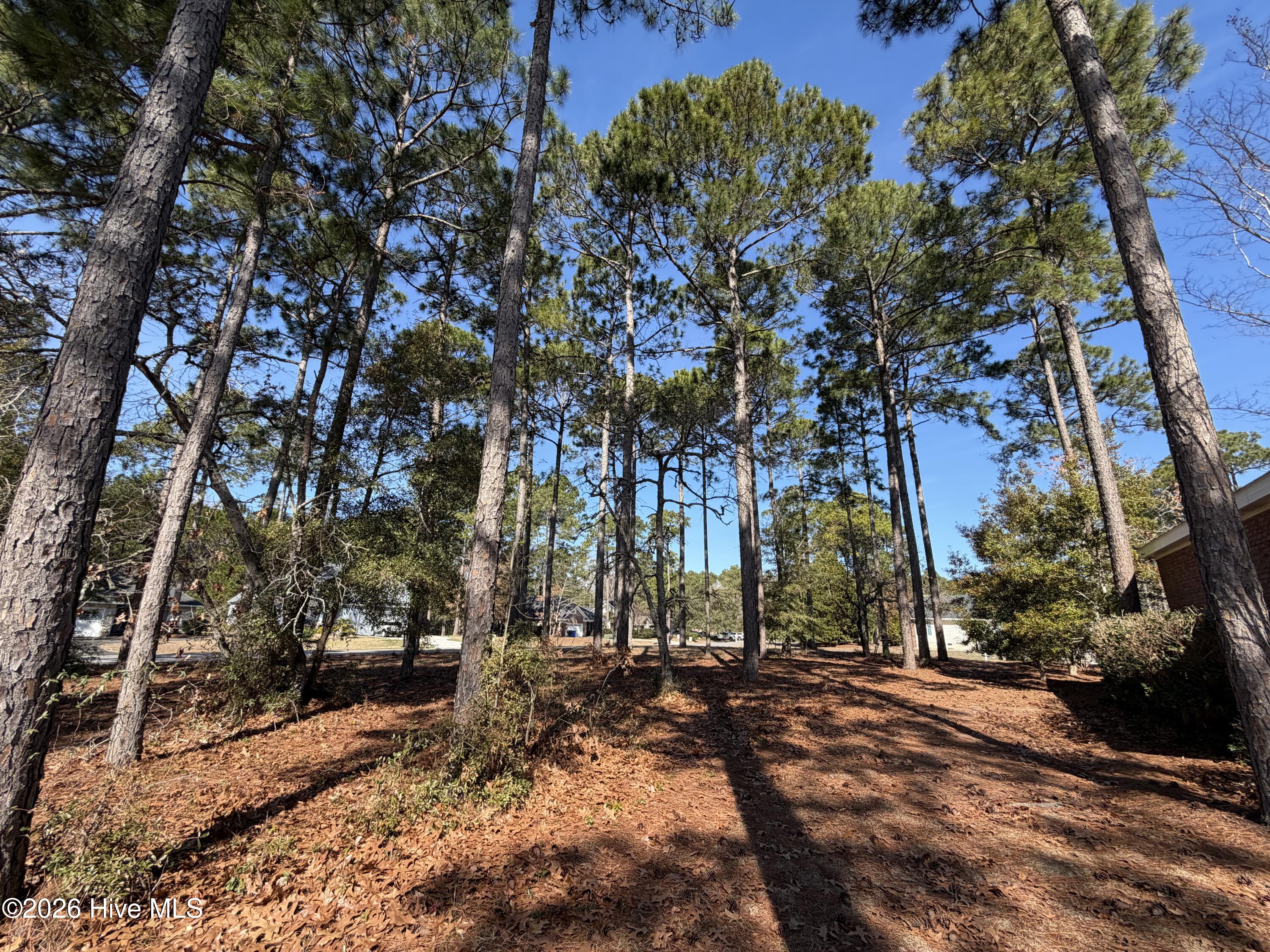 503 Planter's Ridge Drive Sunset Beach, NC 28468 - Photo 28 of 41 IMG_2719