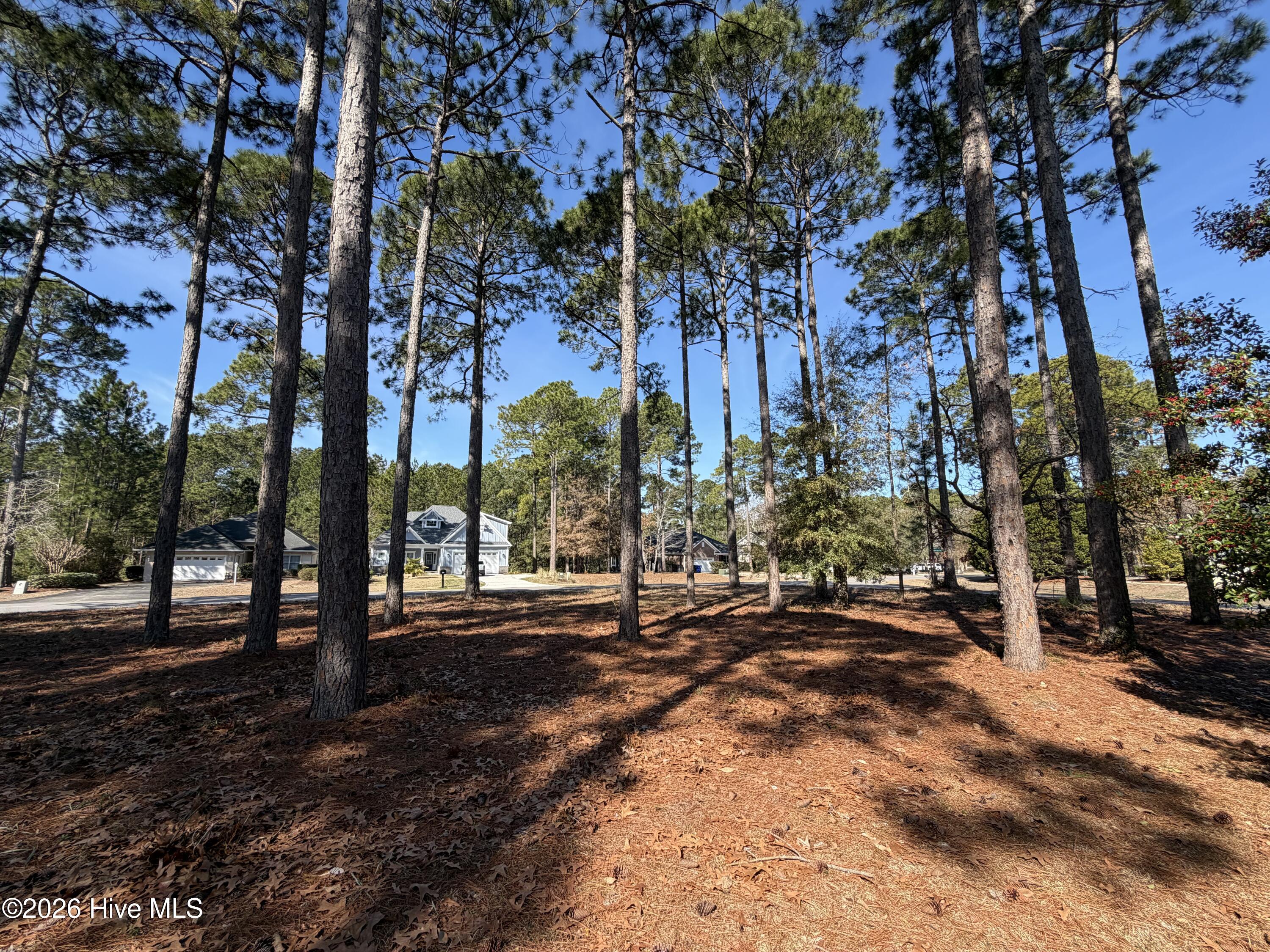 503 Planter's Ridge Drive Sunset Beach, NC 28468 - Photo 29 of 41 IMG_2727