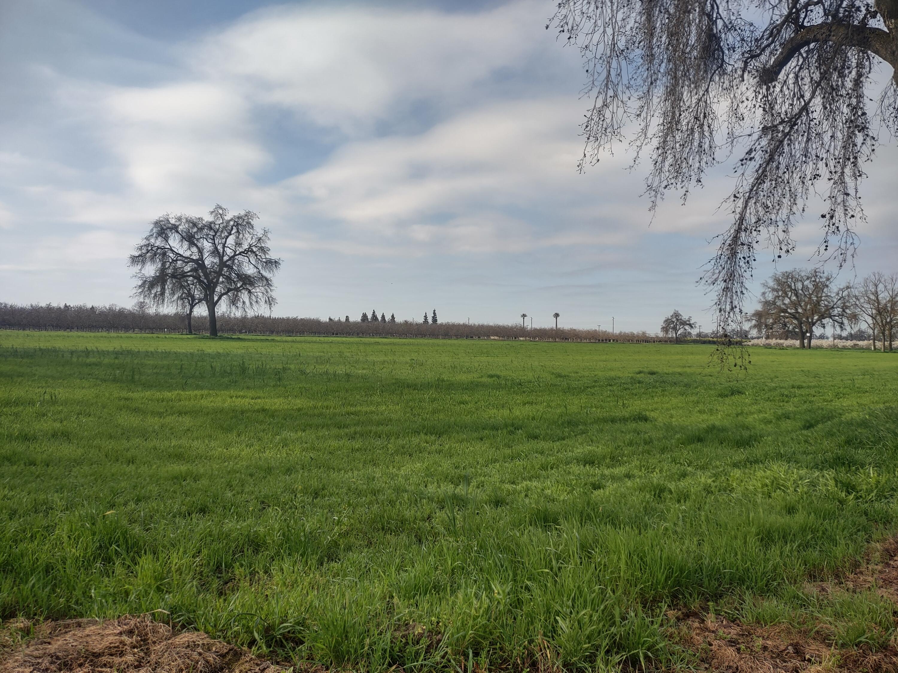 Lovers Lane Visalia, CA 93292 - Photo 2 of 10 (Upload-from-mobile-1771013106)IMG_20260
