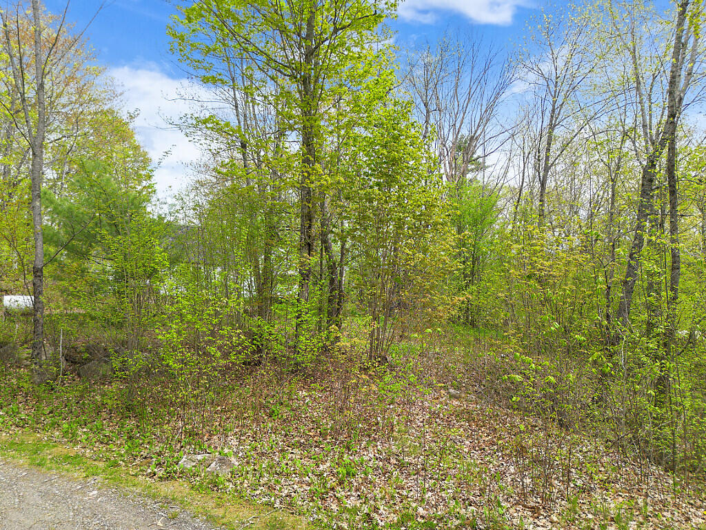7 Frog Holler Lane Augusta, ME 04330 - Photo 9 of 59 20_DJI_0874_DxO_mls