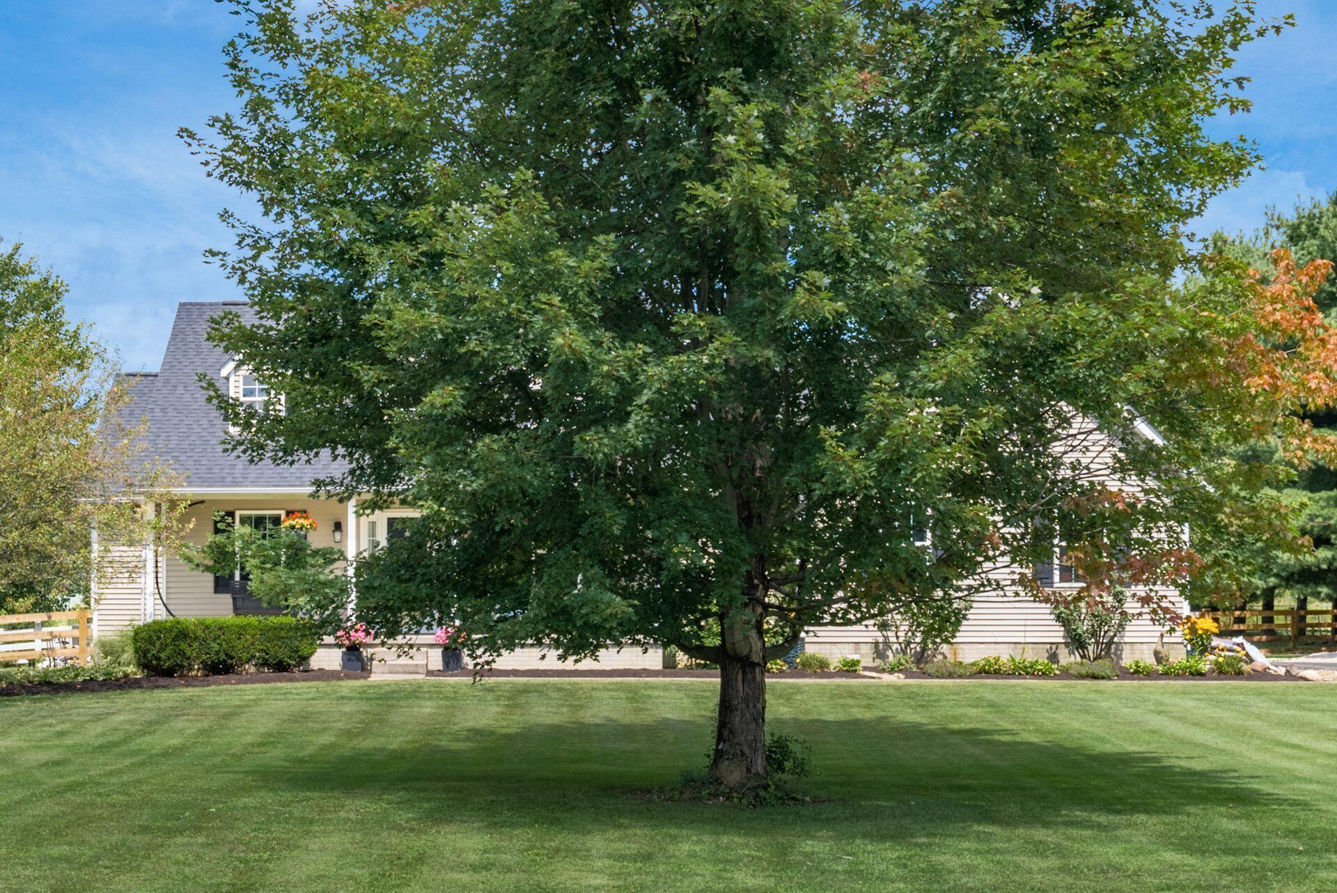 12685 Gorsuch Road Galena, OH 43021 - Photo 40 of 58 Mature trees
