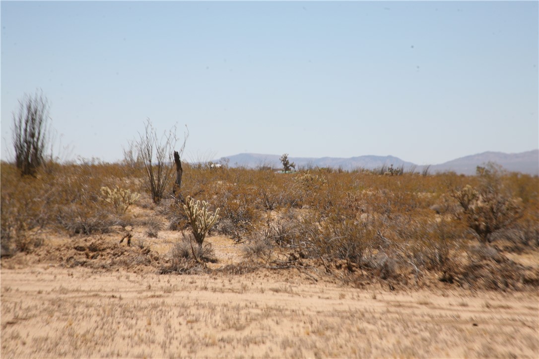 207-17-097 South Cameron Road Yucca, AZ 86438 - Photo 20 of 34