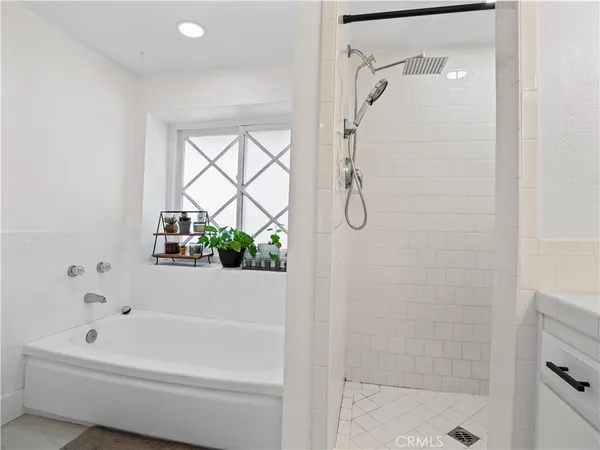 a bathroom with a bath tub and a shower