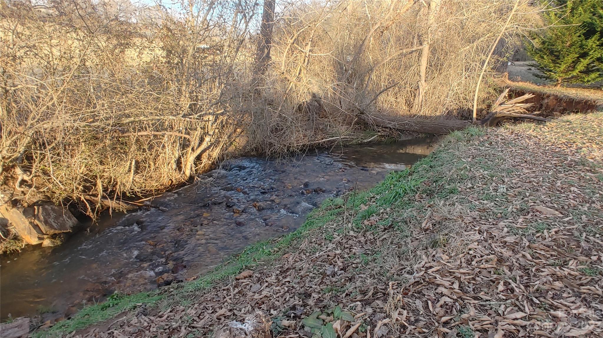 49 Hayes Mill Road Franklin, NC 28734 - Photo 22 of 25 Gallery Image 22