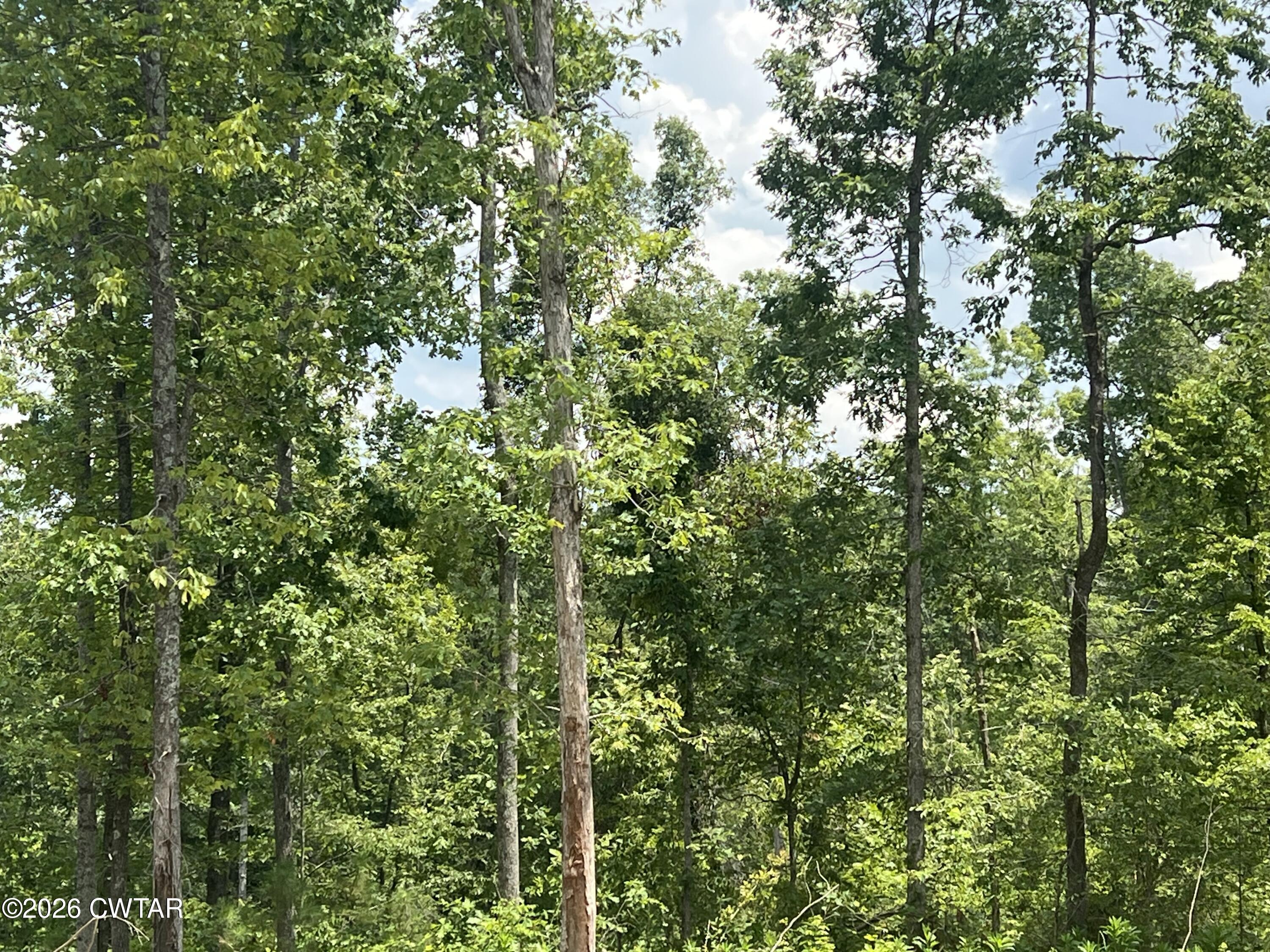 4600 Silerton Road Henderson, TN 38340 - Photo 15 of 16 IMG_6473