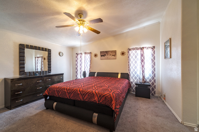 445 South Main Street Fayette, UT 84630 - Photo 23 of 45 Carpeted bedroom featuring a textured wall and a ceiling fan