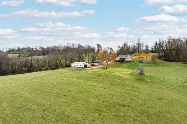 a view of a garden with a slide