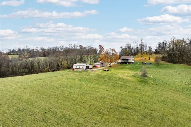 a view of a garden with a slide