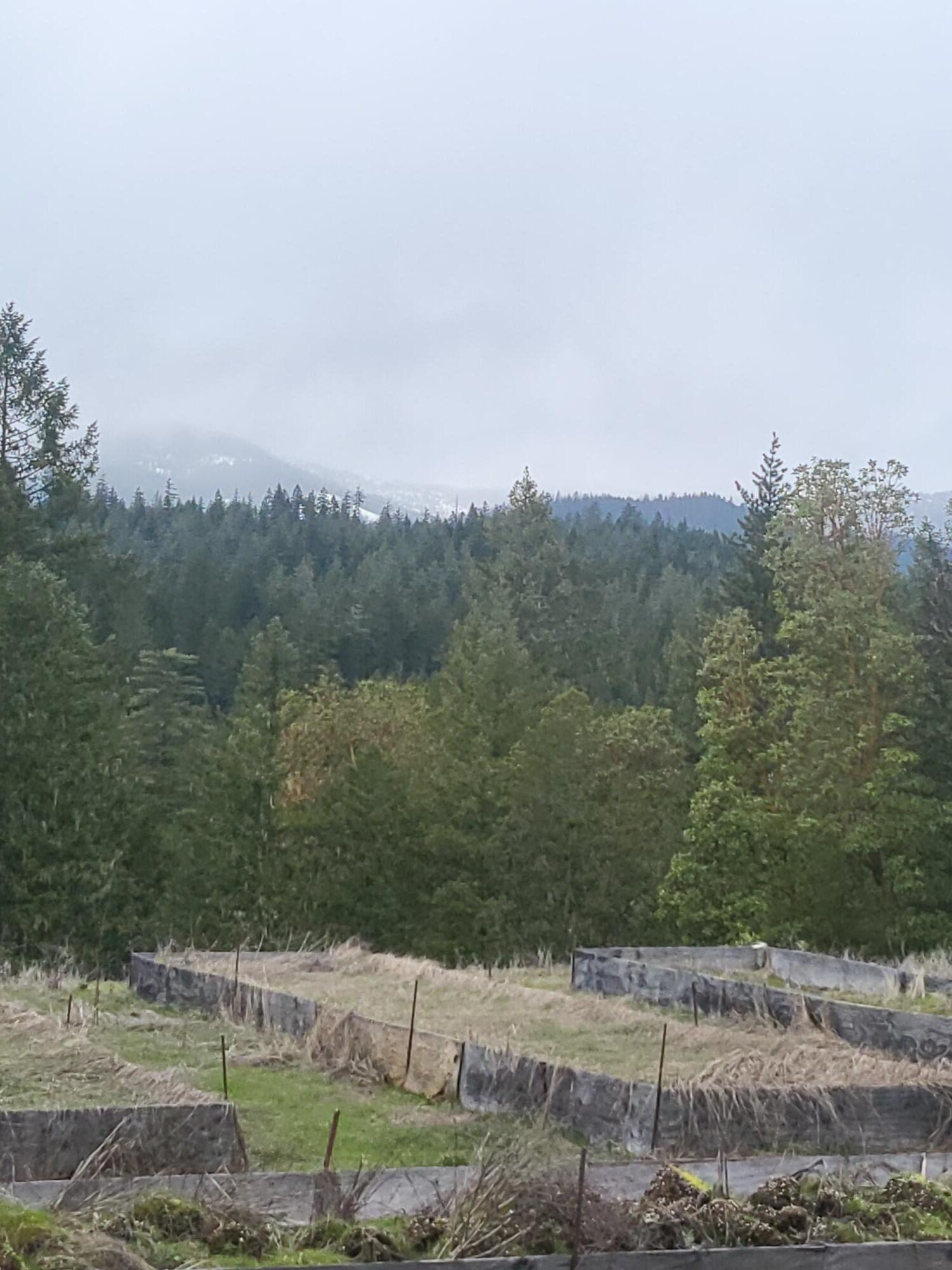 962 Indian Creek Road Selma, OR 97538 - Photo 32 of 42 Garden Area at top of the property looking South