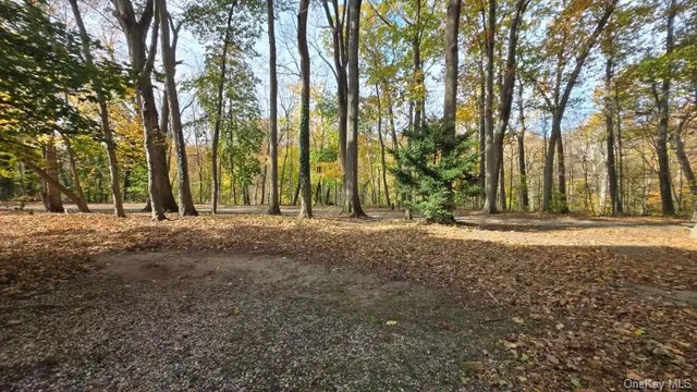 a view of outdoor space with trees