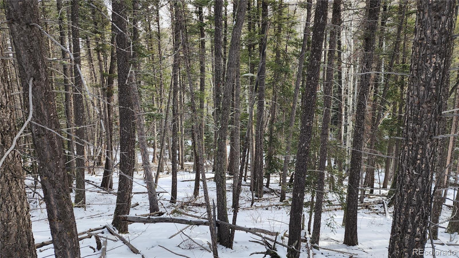 2785 Barber Road Fort Garland, CO 81133 - Photo 11 of 27