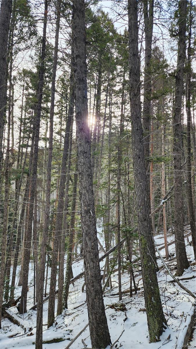 2785 Barber Road Fort Garland, CO 81133 - Photo 12 of 27