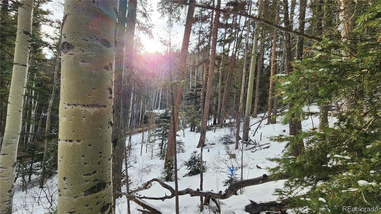 2785 Barber Road Fort Garland, CO 81133 - Photo 14 of 27