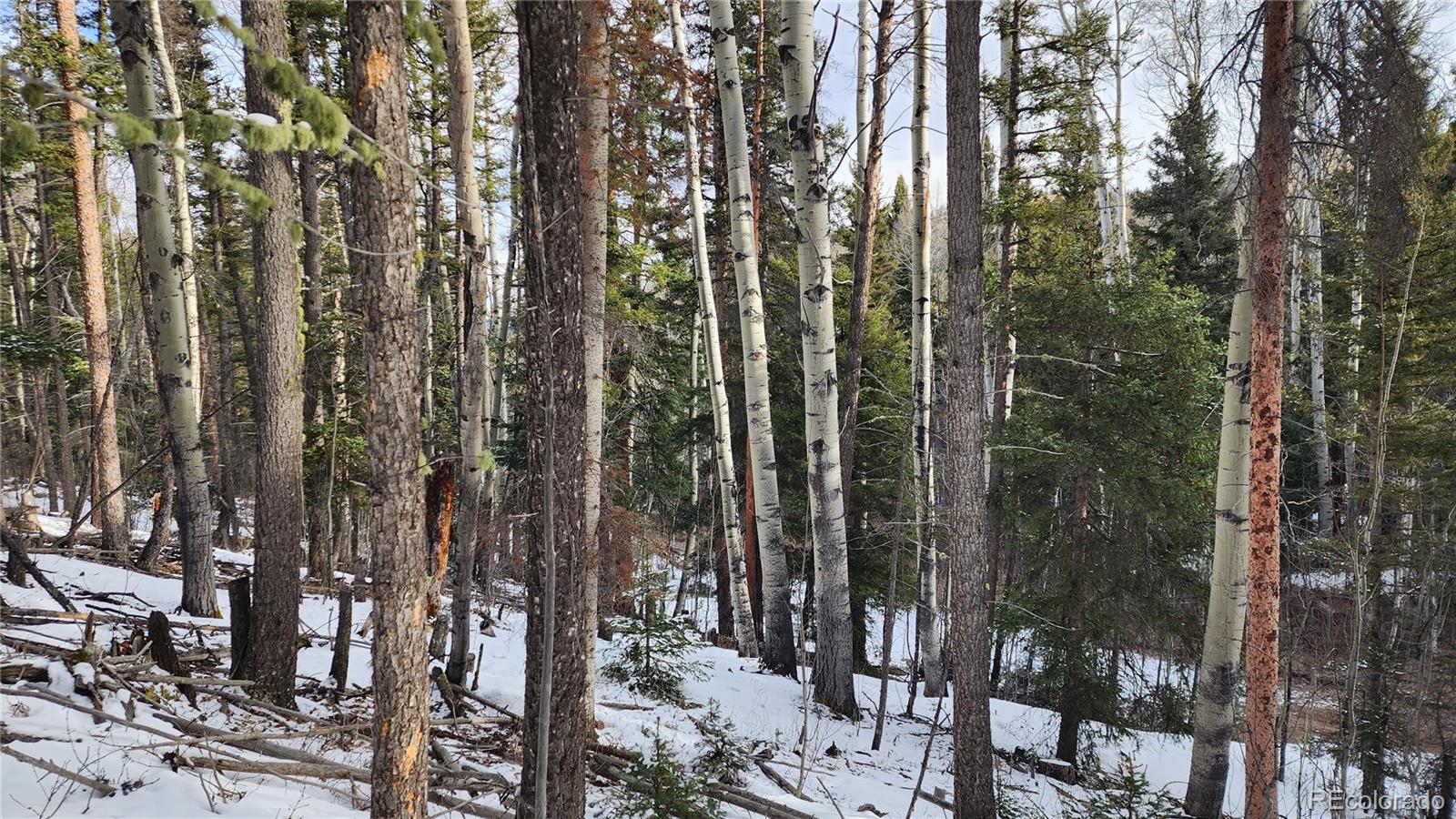 2785 Barber Road Fort Garland, CO 81133 - Photo 15 of 27