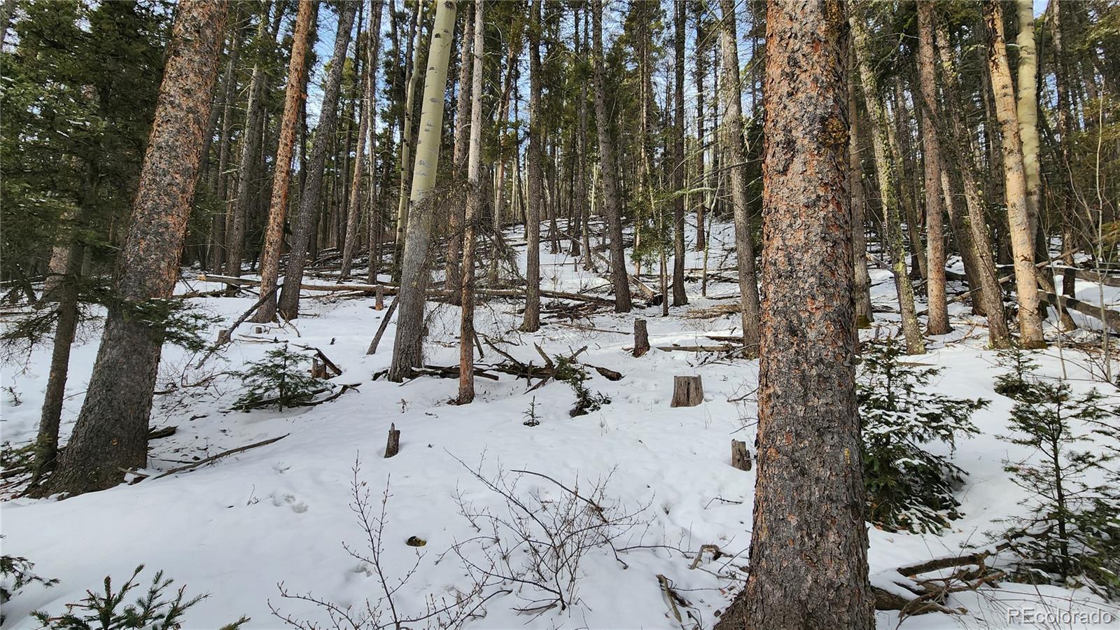 2785 Barber Road Fort Garland, CO 81133 - Photo 16 of 27