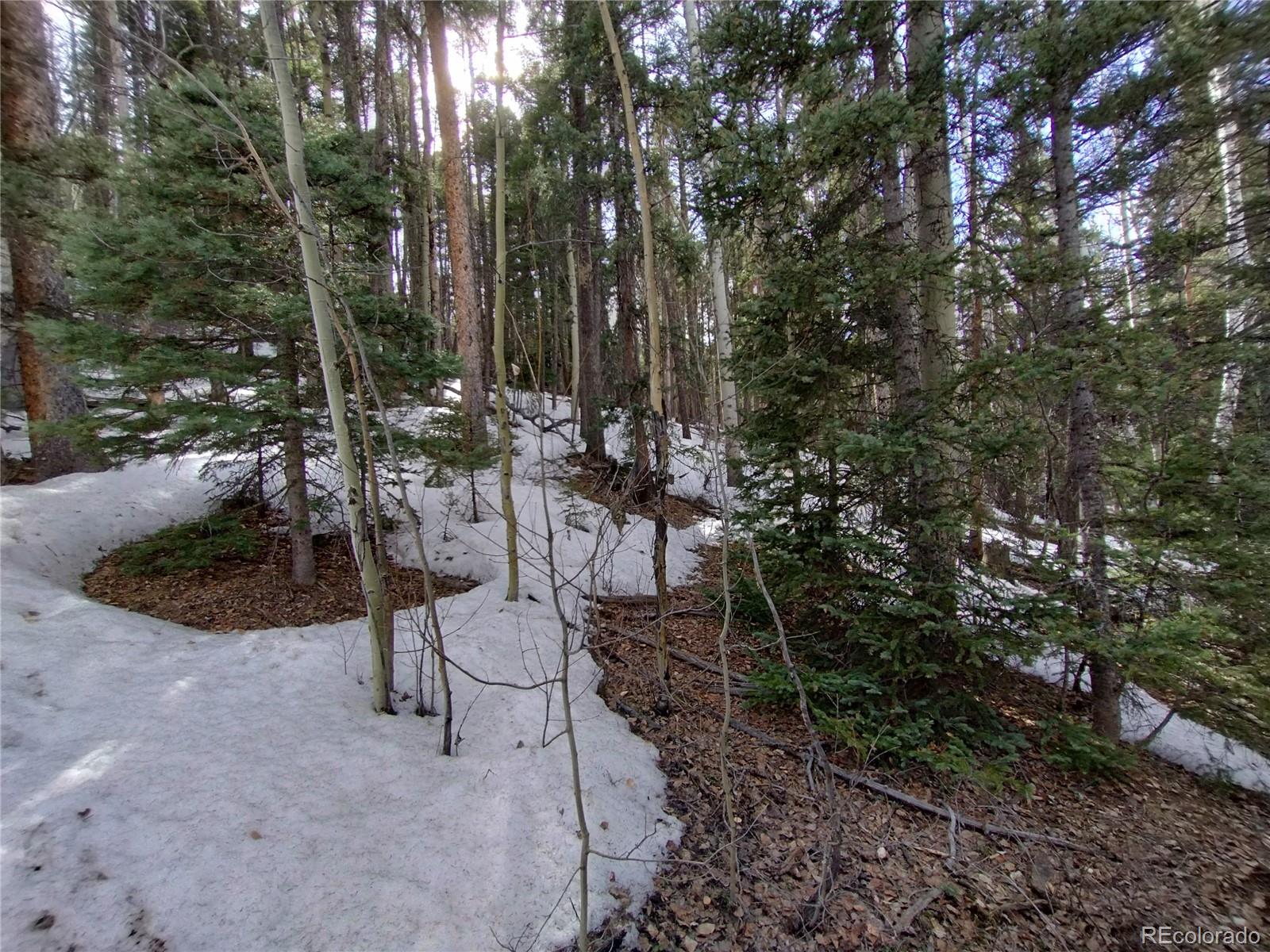 2785 Barber Road Fort Garland, CO 81133 - Photo 17 of 27