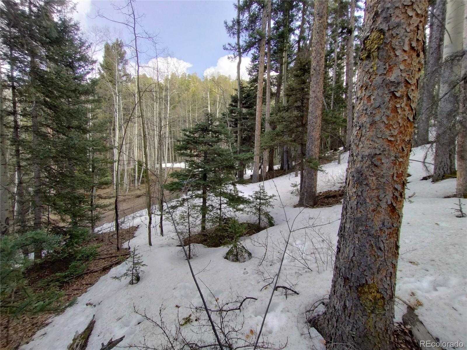 2785 Barber Road Fort Garland, CO 81133 - Photo 18 of 27