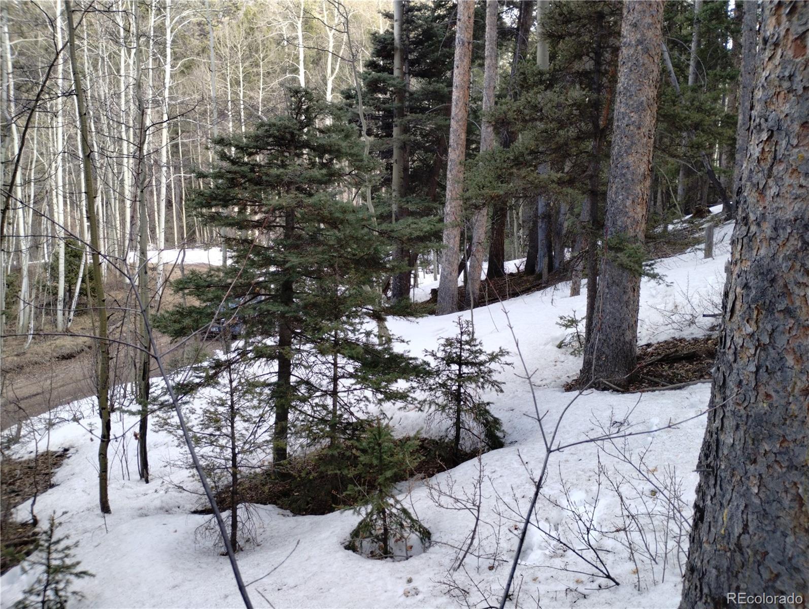 2785 Barber Road Fort Garland, CO 81133 - Photo 19 of 27