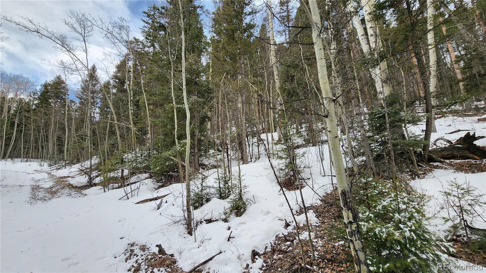 2785 Barber Road Fort Garland, CO 81133 - Photo 20 of 27