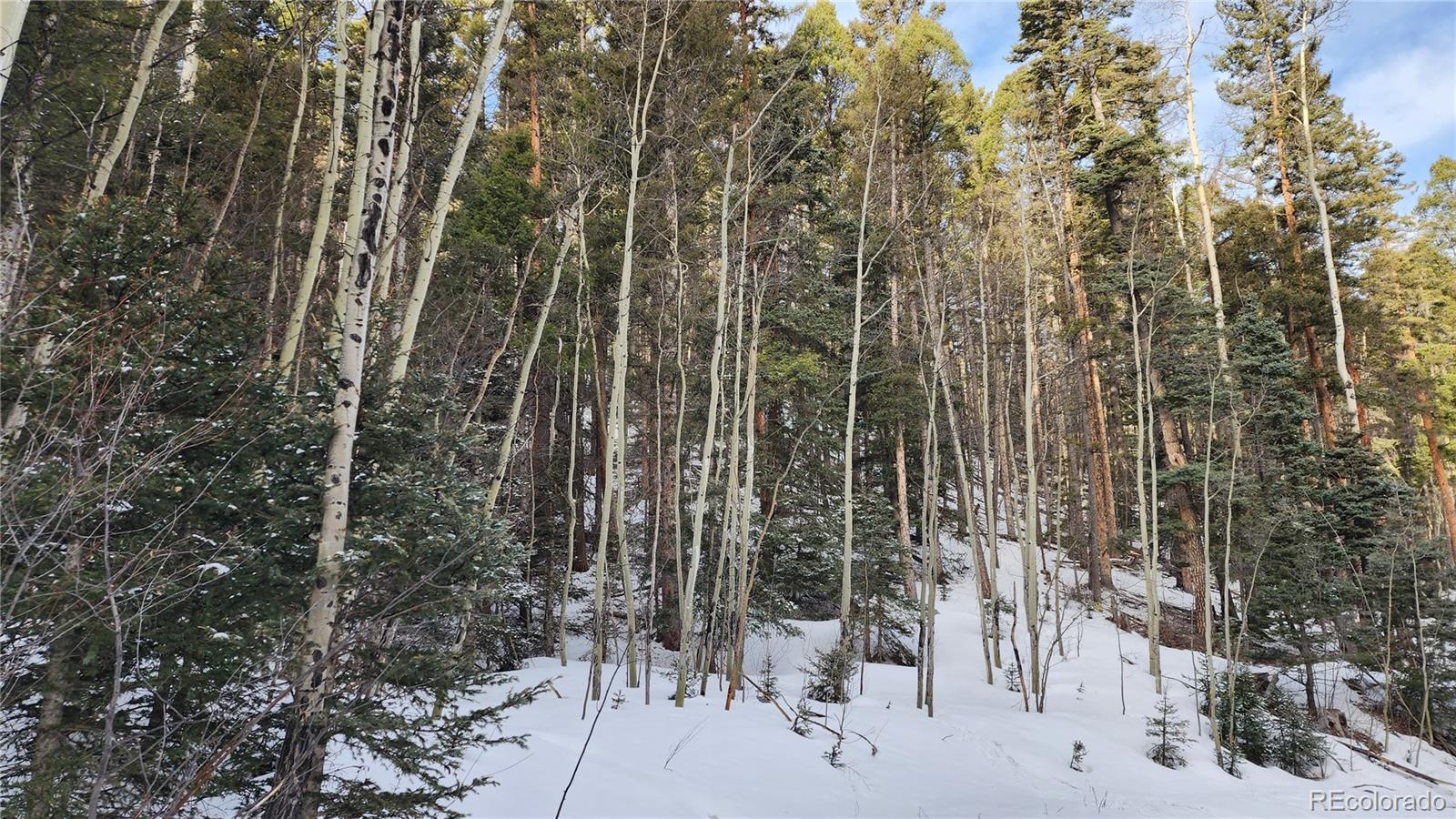 2785 Barber Road Fort Garland, CO 81133 - Photo 2 of 27