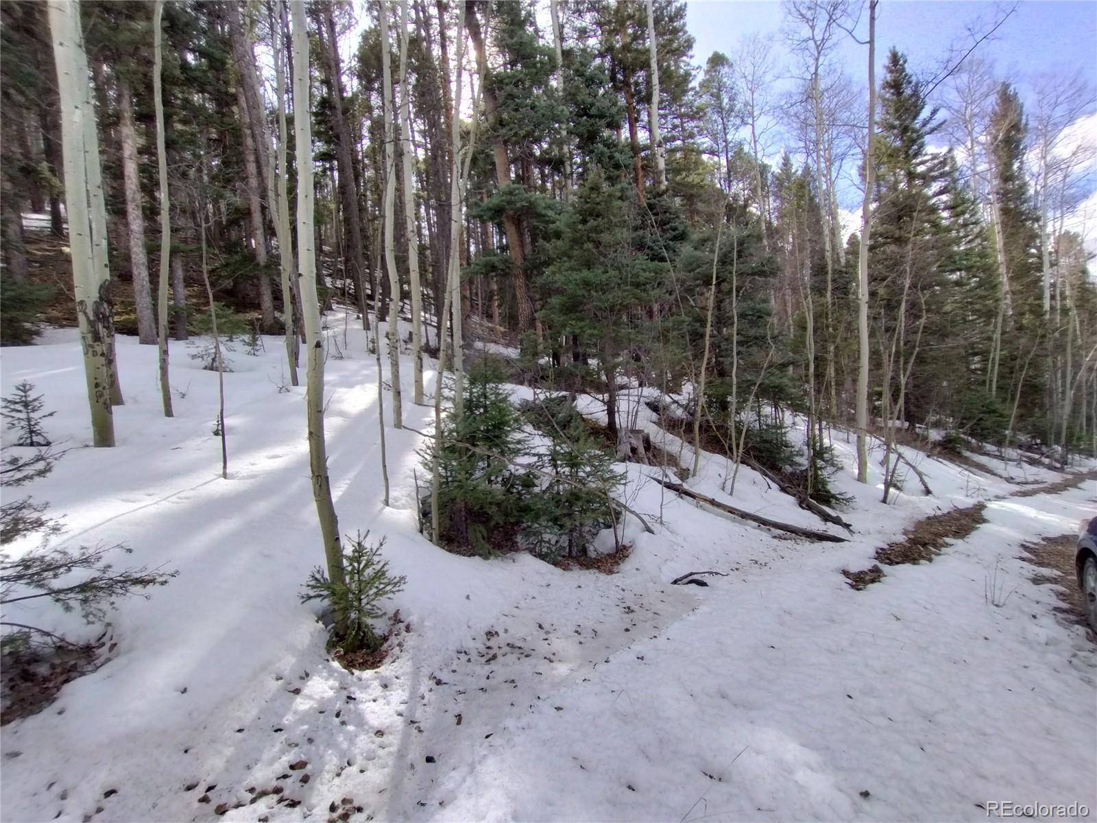 2785 Barber Road Fort Garland, CO 81133 - Photo 21 of 27
