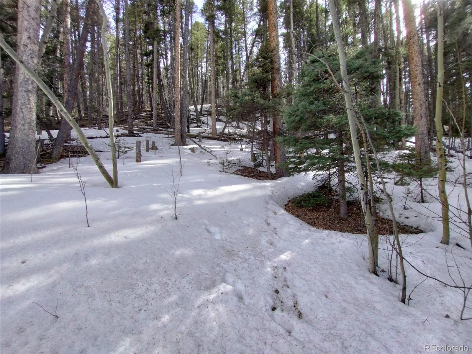 2785 Barber Road Fort Garland, CO 81133 - Photo 22 of 27