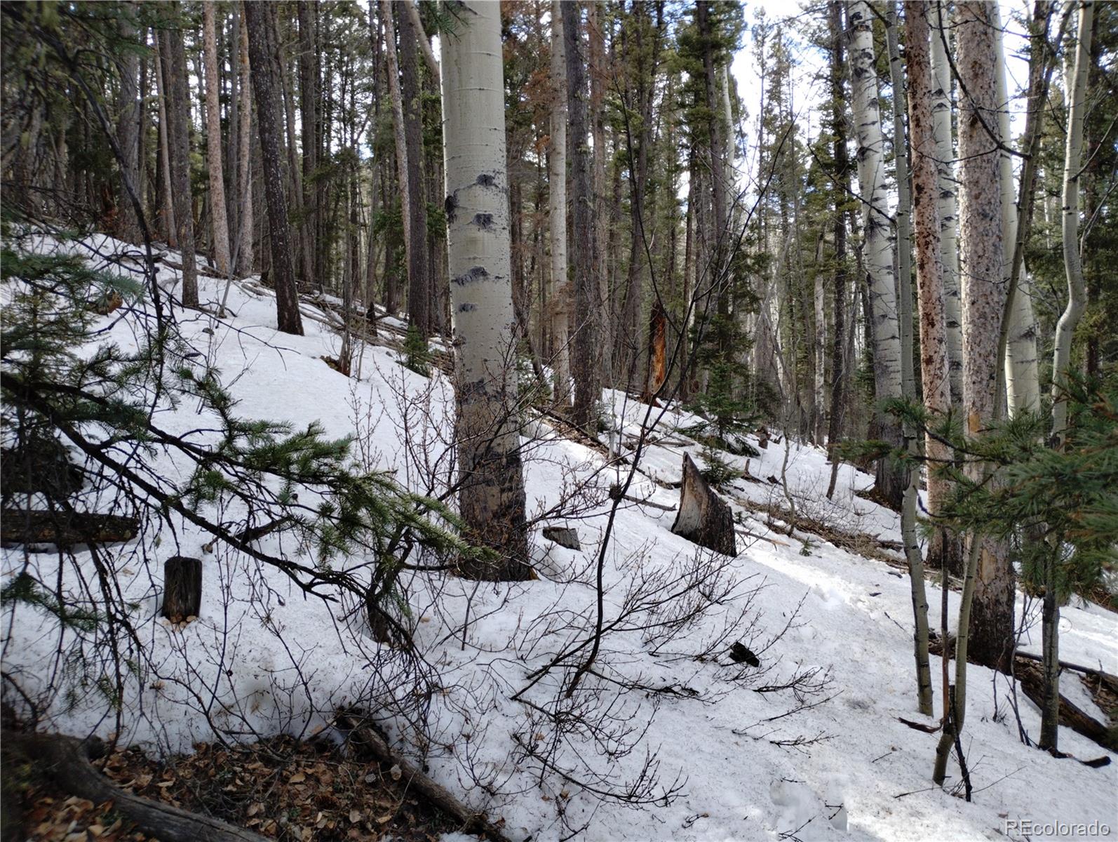 2785 Barber Road Fort Garland, CO 81133 - Photo 24 of 27
