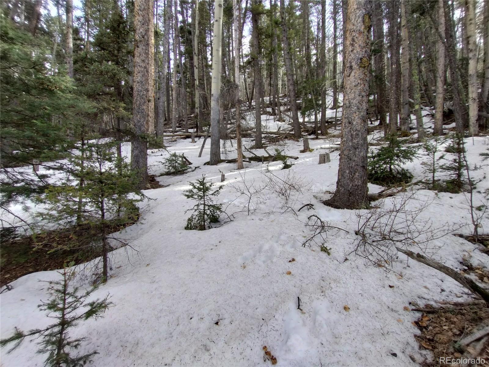 2785 Barber Road Fort Garland, CO 81133 - Photo 25 of 27