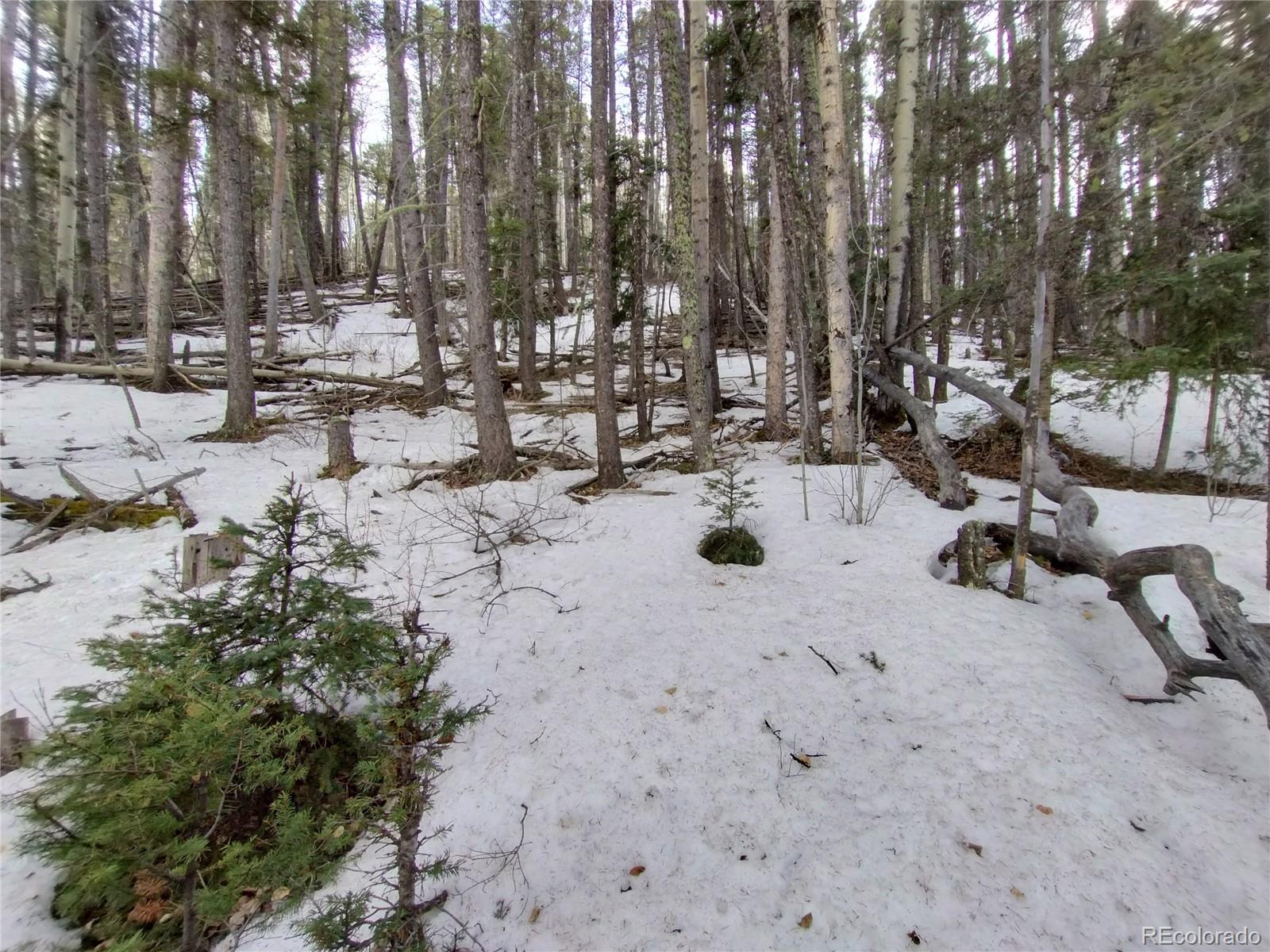 2785 Barber Road Fort Garland, CO 81133 - Photo 27 of 27