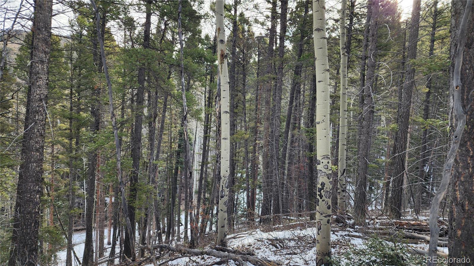 2785 Barber Road Fort Garland, CO 81133 - Photo 3 of 27