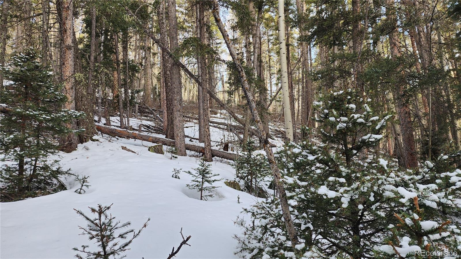 2785 Barber Road Fort Garland, CO 81133 - Photo 4 of 27