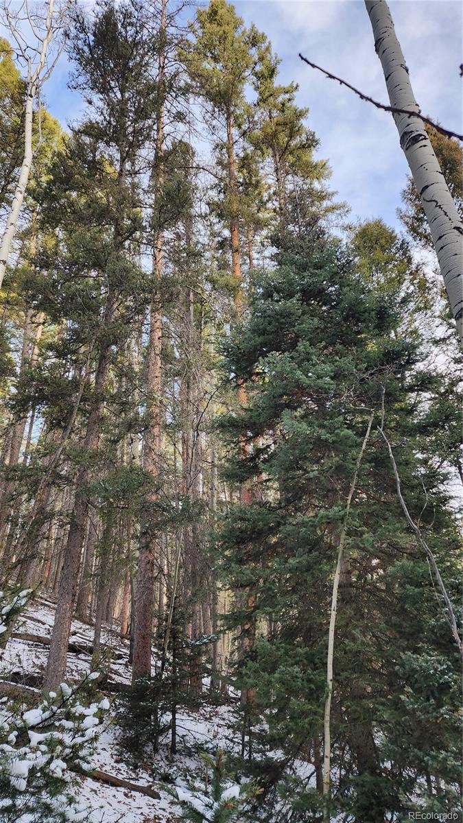 2785 Barber Road Fort Garland, CO 81133 - Photo 5 of 27