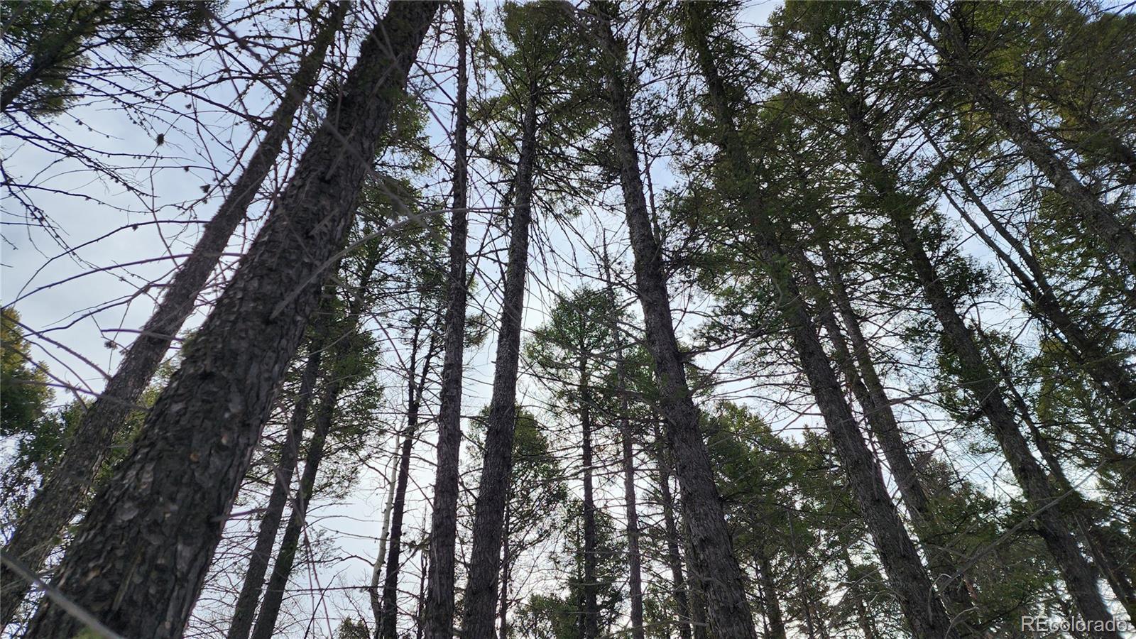 2785 Barber Road Fort Garland, CO 81133 - Photo 6 of 27