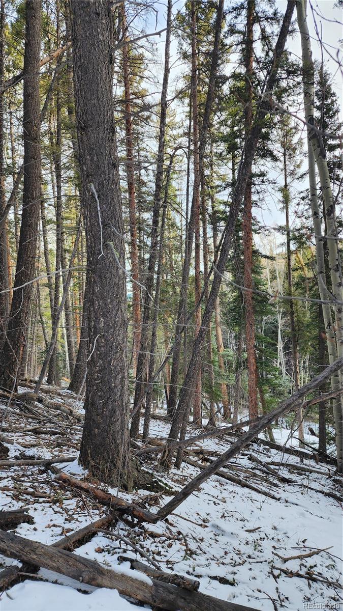 2785 Barber Road Fort Garland, CO 81133 - Photo 7 of 27