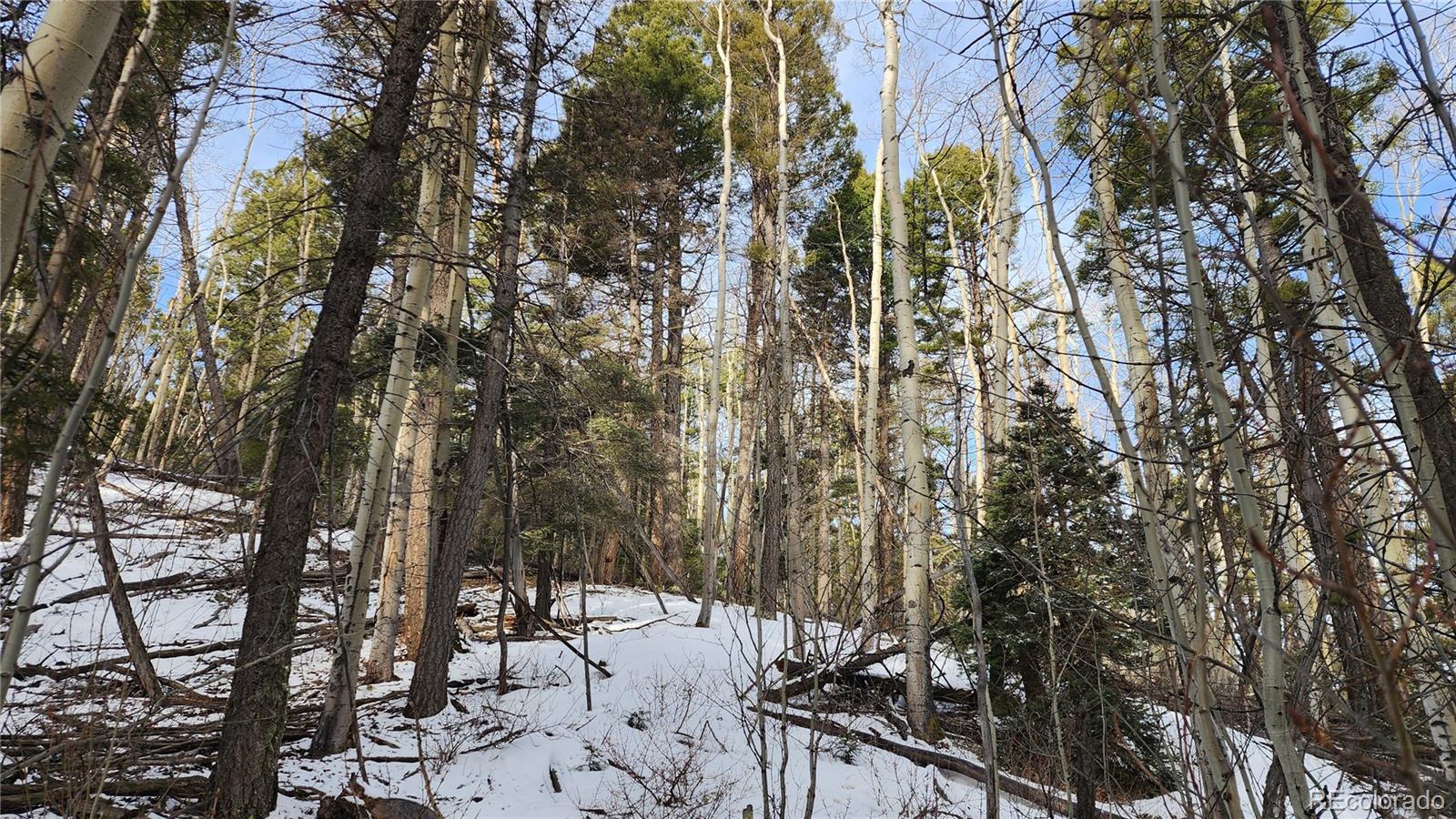 2785 Barber Road Fort Garland, CO 81133 - Photo 8 of 27