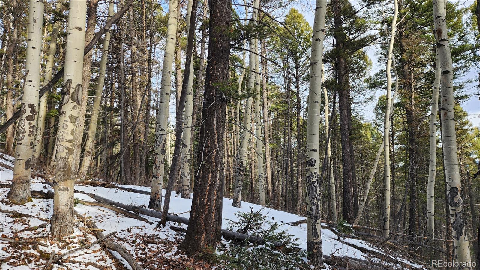 2785 Barber Road Fort Garland, CO 81133 - Photo 9 of 27