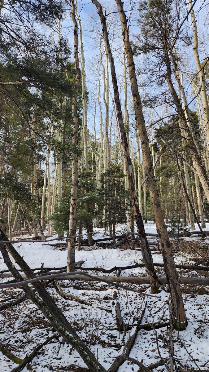 2785 Barber Road Fort Garland, CO 81133 - Photo 10 of 27