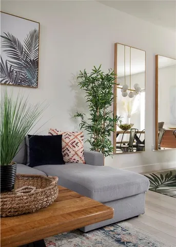 a living room with furniture flowerpot and a potted plant