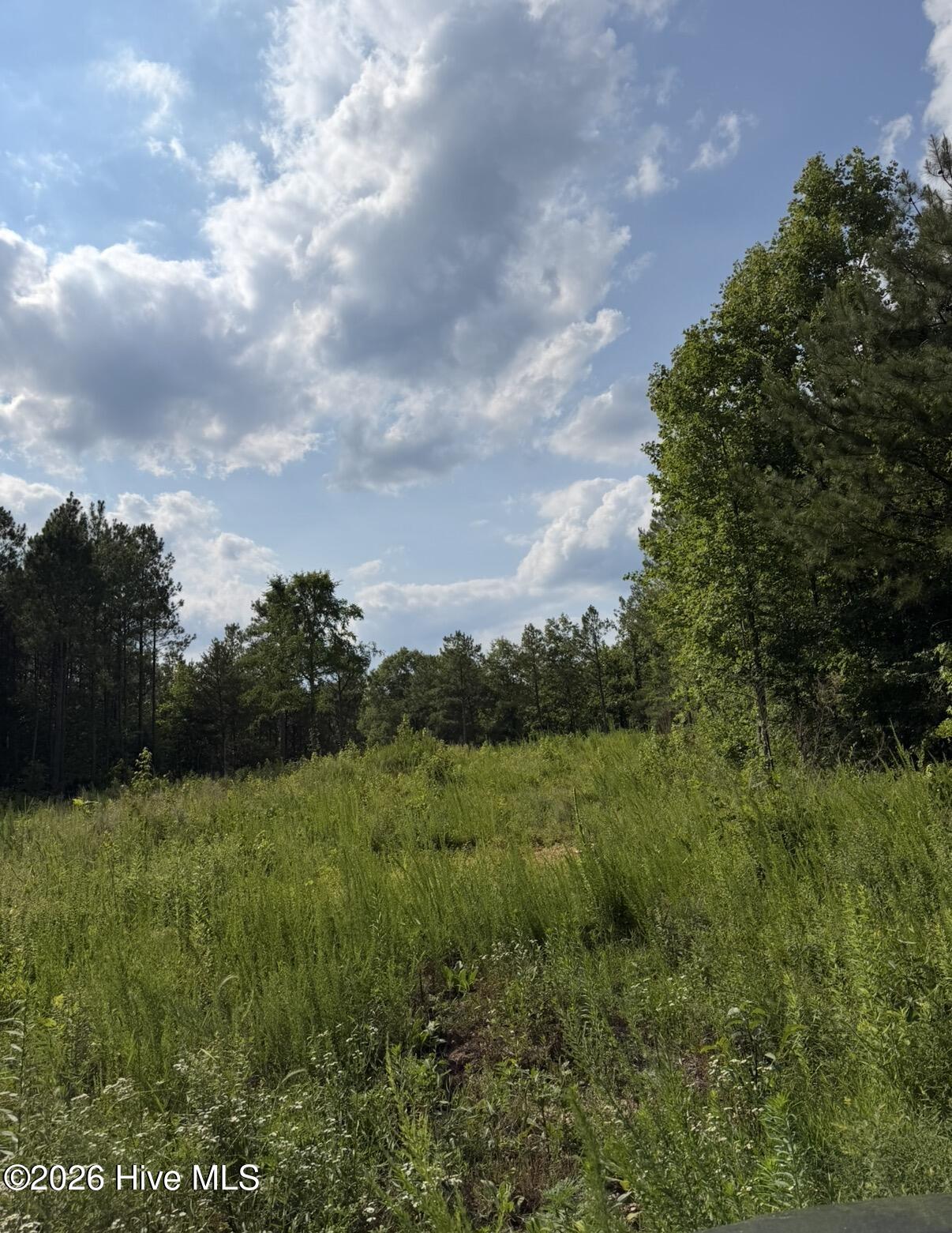 3 Beamon Hunt Road Warrenton, NC 27589 - Photo 5 of 10
