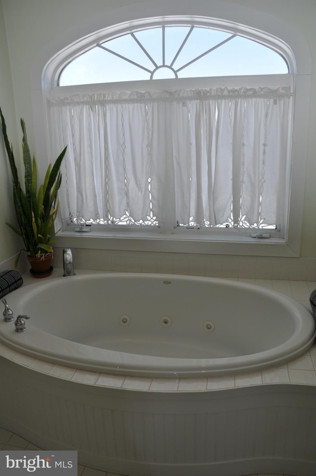 36764 North Fork Road Purcellville, VA 20132 - Photo 19 of 28 Bath (Master)