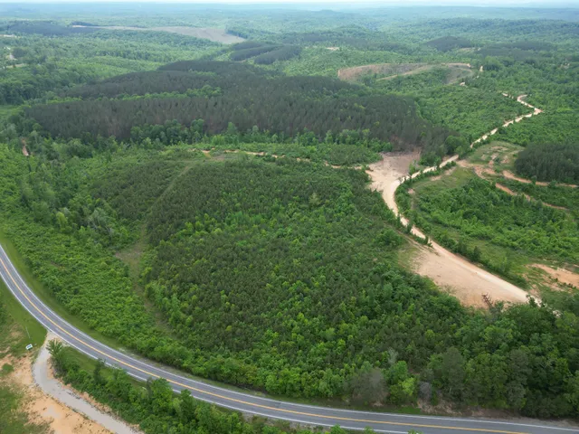 a view of a green yard with large trees