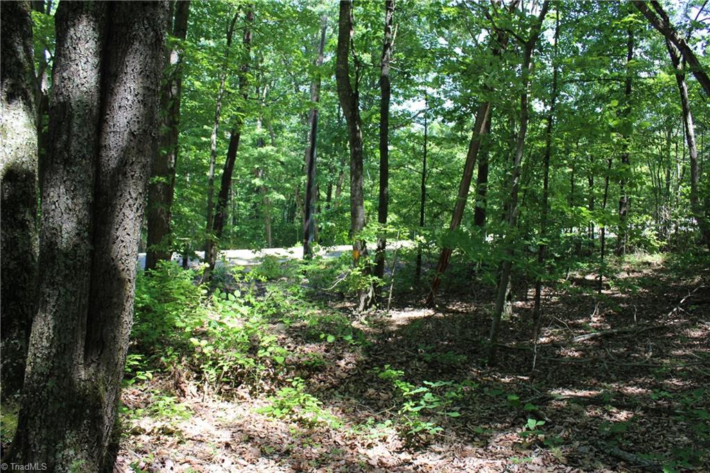 0 Stony Ridge Road Pinnacle, NC 27043 - Photo 8 of 10