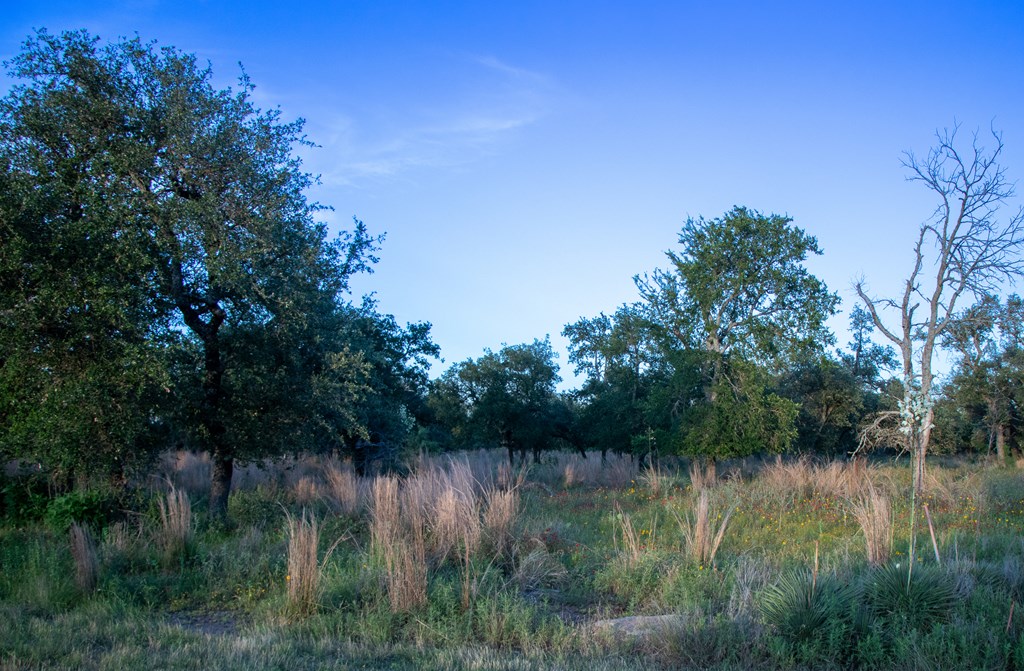 Lot #9 Slate Rock Road, Unit 9 Fredericksburg, TX 78624 - Photo 2 of 16