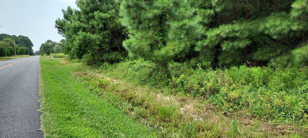 Lot 7 Bradfords Neck Road, Unit 7 Melfa, VA 23410 - Photo 2 of 5