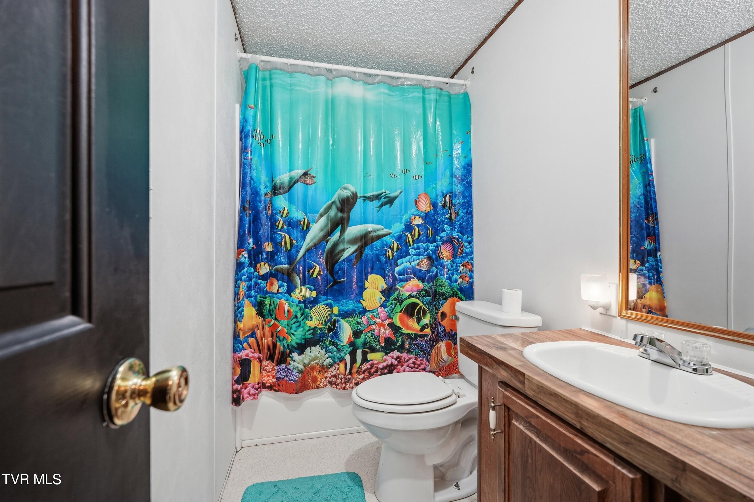 305 Browders Chapel Road Hiltons, VA 24258 - Photo 16 of 36 16_dsc07900